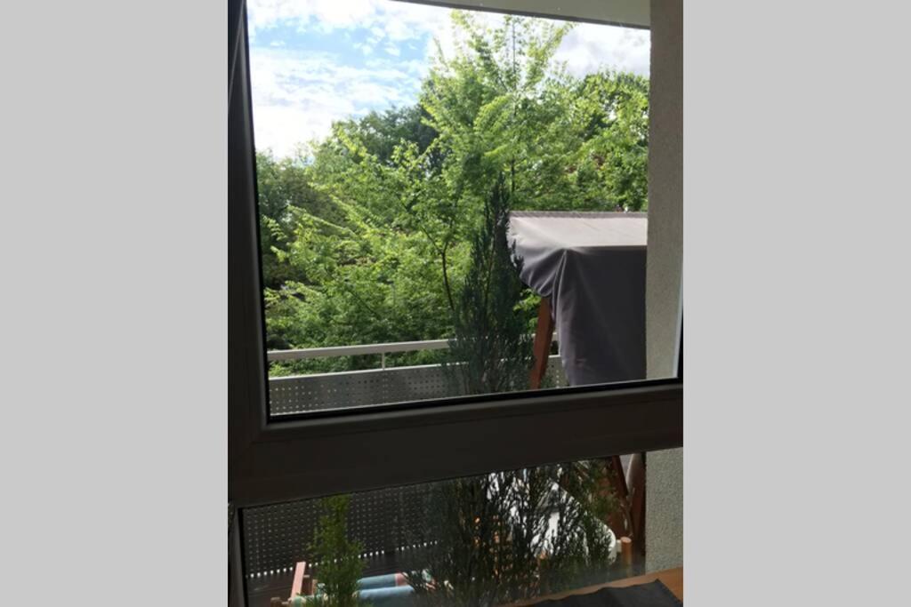 Apartment In Green Area วรอตซวาฟ ภายนอก รูปภาพ